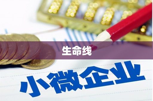 贡山生命线