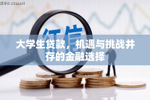 遂溪大学生贷款，机遇与挑战并存的金融选择