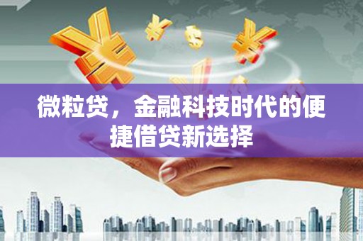 板桥微粒贷，金融科技时代的便捷借贷新选择