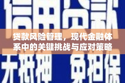 观山湖贷款风险管理，现代金融体系中的关键挑战与应对策略