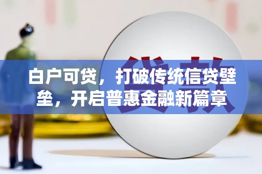 亭湖白户可贷，打破传统信贷壁垒，开启普惠金融新篇章