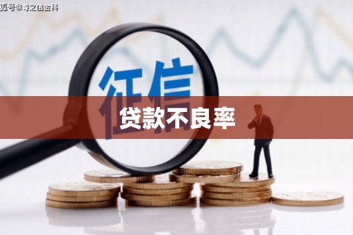 邵阳县贷款不良率