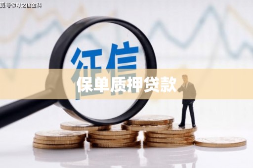 新晃保单质押贷款