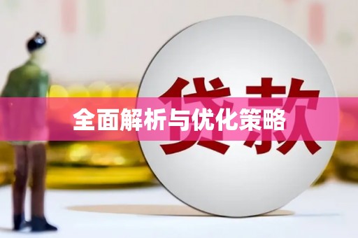 稻城全面解析与优化策略