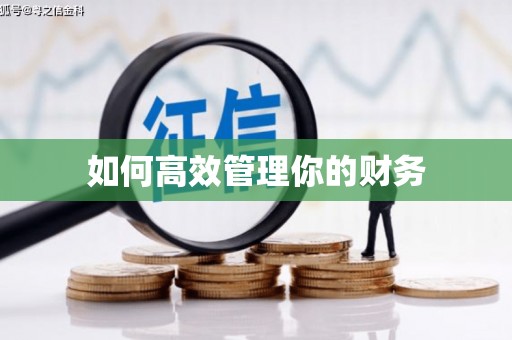 桃江如何高效管理你的财务