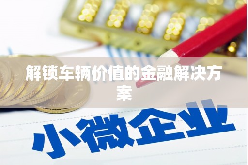 狮潭解锁车辆价值的金融解决方案