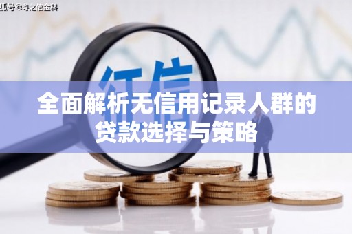 太和全面解析无信用记录人群的贷款选择与策略