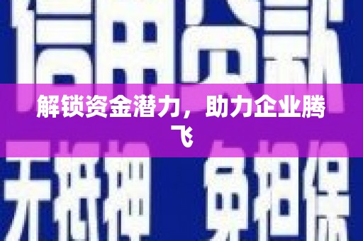 三亚解锁资金潜力，助力企业腾飞