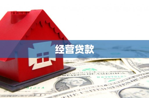 东兰经营贷款