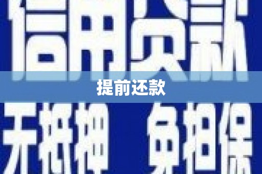 湖内提前还款