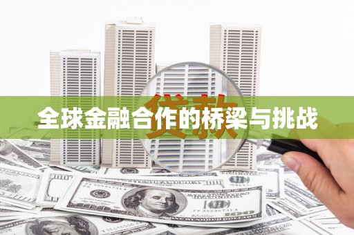 资源全球金融合作的桥梁与挑战