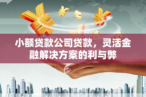 高要小额贷款公司贷款，灵活金融解决方案的利与弊