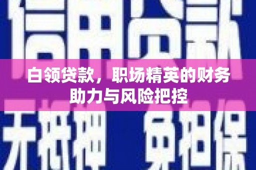 南屯白领贷款,职场精英的财务助力与风险把控 南屯白领贷款,职场精英的财务助力与风险把控
